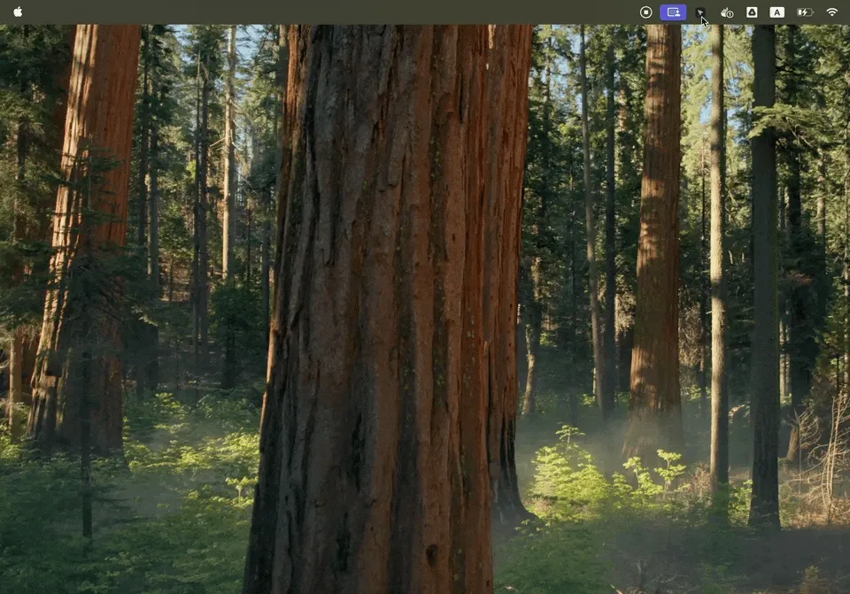 Screen share